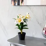 Beautifully Furnished 3 Bedroom In Qawra 아파트