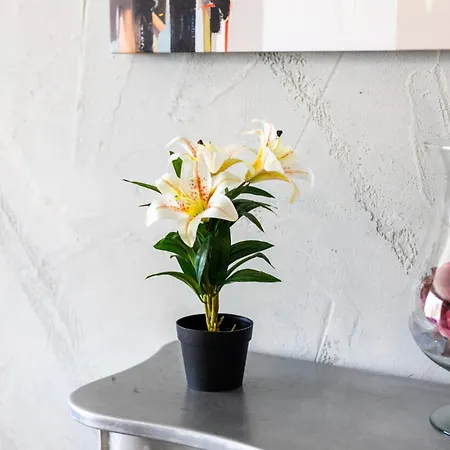 Beautifully Furnished 3 Bedroom In Qawra Lejlighed