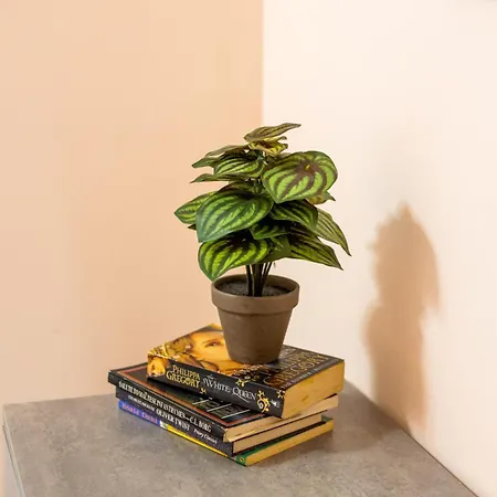 Beautifully Furnished 3 Bedroom In Qawra *