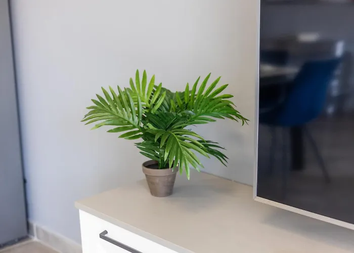 Beautifully Furnished 3 Bedroom In Qawra Apartament